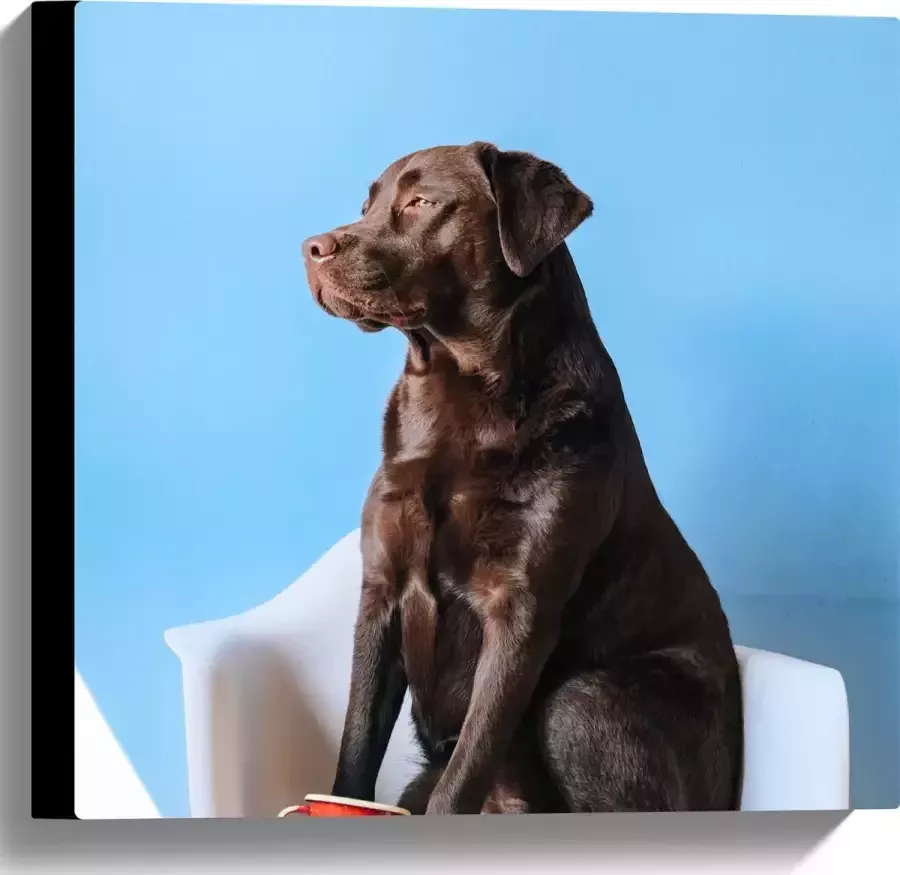 WallClassics Canvas Grote Hond Zittend op Stoel met Kop Koffie 40x40 cm Foto op Canvas Schilderij (Wanddecoratie op Canvas)