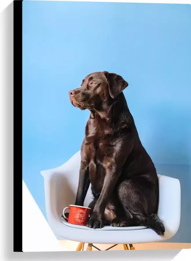 WallClassics Canvas Grote Hond Zittend op Stoel met Kop Koffie 40x60 cm Foto op Canvas Schilderij (Wanddecoratie op Canvas)