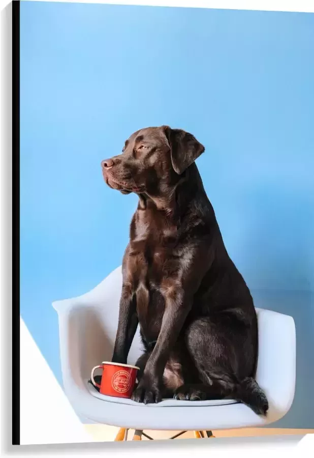 WallClassics Canvas Grote Hond Zittend op Stoel met Kop Koffie 80x120 cm Foto op Canvas Schilderij (Wanddecoratie op Canvas)