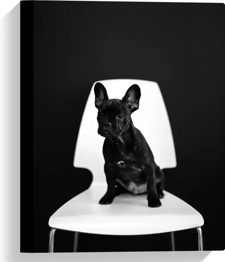 WallClassics Canvas Zwarte zittende Hond op Witte Stoel 30x40 cm Foto op Canvas Schilderij (Wanddecoratie op Canvas)