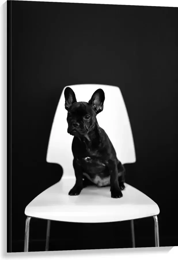 WallClassics Canvas Zwarte zittende Hond op Witte Stoel 80x120 cm Foto op Canvas Schilderij (Wanddecoratie op Canvas)