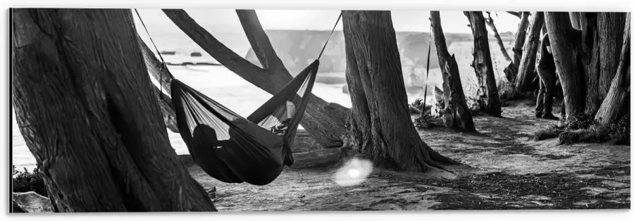 WallClassics Dibond Hangmat tussen de Bomen Zwart Wit 60x20 cm Foto op Aluminium (Met Ophangsysteem)