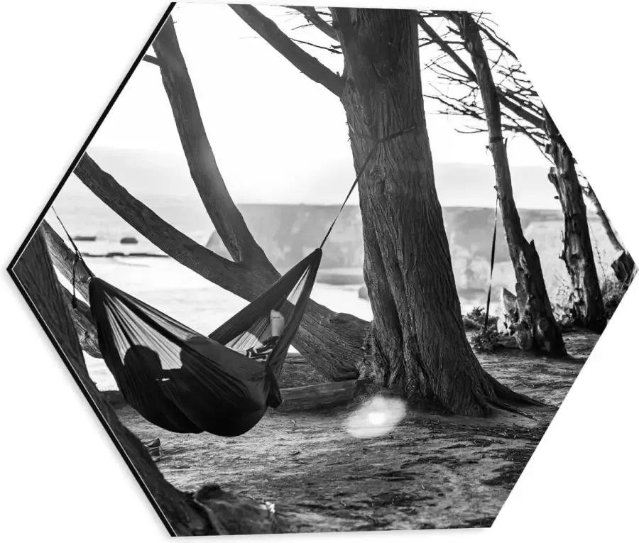 WallClassics Dibond Hexagon Hangmat tussen de Bomen Zwart Wit 40x34.8 cm Foto op Hexagon (Met Ophangsysteem)