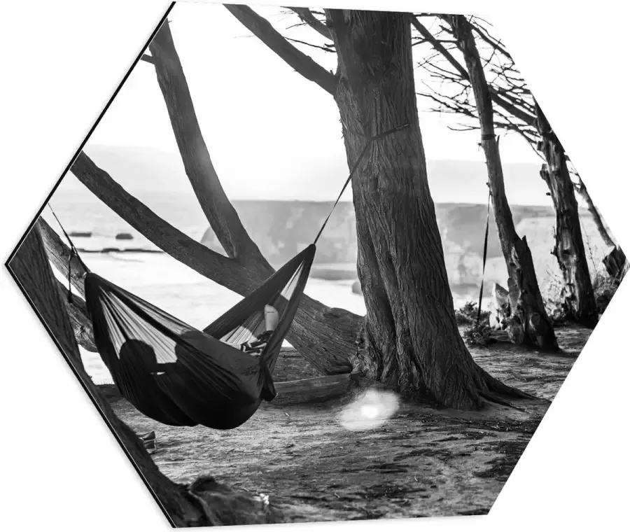 WallClassics Dibond Hexagon Hangmat tussen de Bomen Zwart Wit 60x52.2 cm Foto op Hexagon (Met Ophangsysteem)