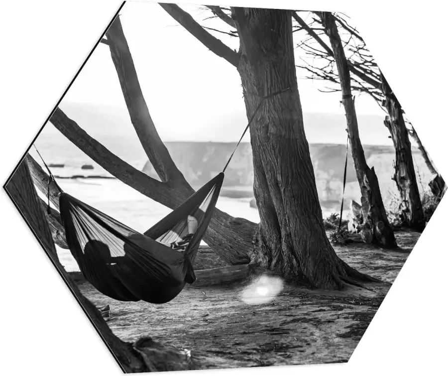 WallClassics Dibond Hexagon Hangmat tussen de Bomen Zwart Wit 70x60.9 cm Foto op Hexagon (Met Ophangsysteem)