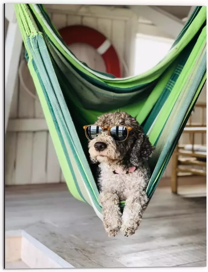 WallClassics Dibond Liggende Hond in Hangmat met Zonnebril 60x80 cm Foto op Aluminium (Met Ophangsysteem)
