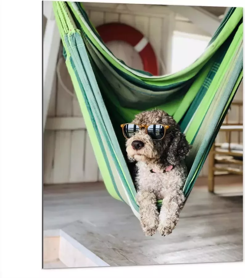 WallClassics Dibond Liggende Hond in Hangmat met Zonnebril 75x100 cm Foto op Aluminium (Met Ophangsysteem)