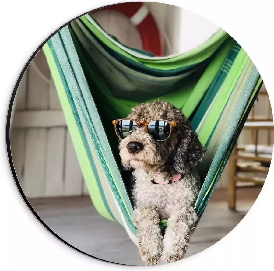 WallClassics Dibond Muurcirkel Liggende Hond in Hangmat met Zonnebril 20x20 cm Foto op Aluminium Muurcirkel (met ophangsysteem)