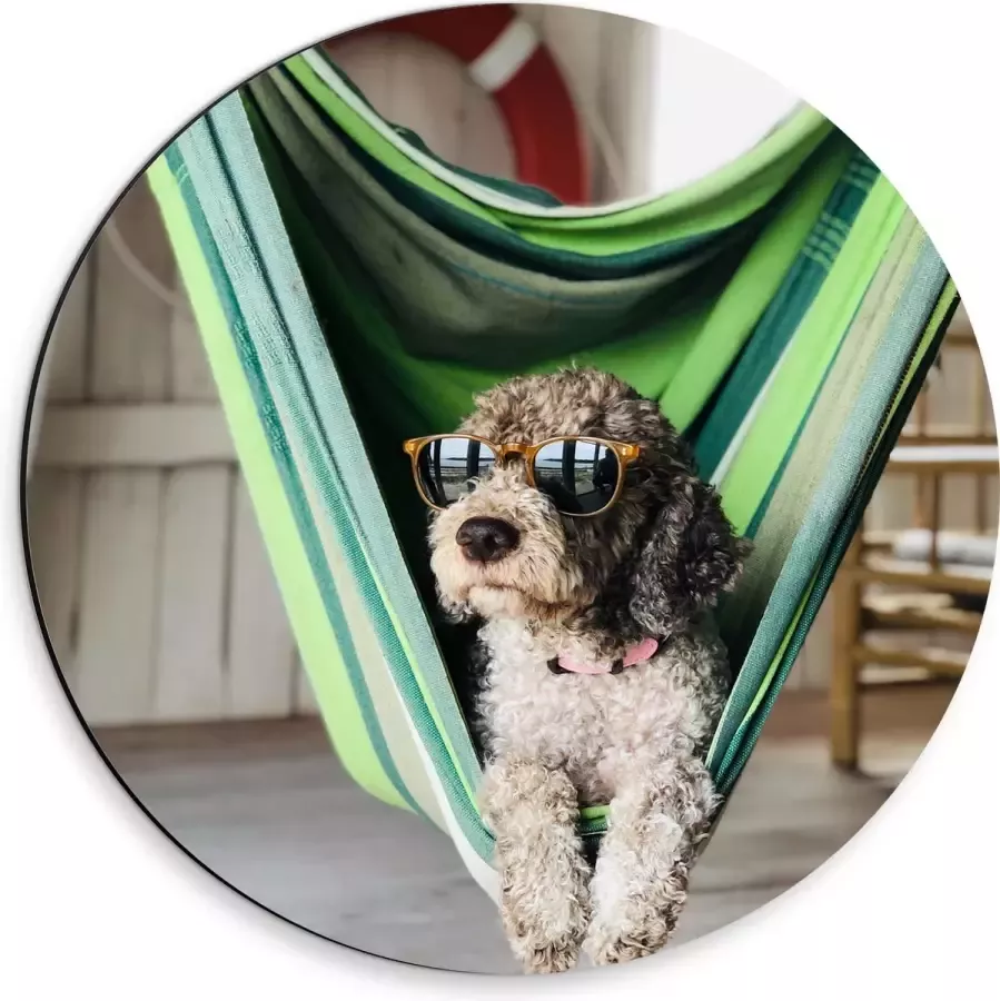 WallClassics Dibond Muurcirkel Liggende Hond in Hangmat met Zonnebril 30x30 cm Foto op Aluminium Muurcirkel (met ophangsysteem)
