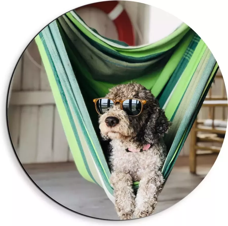 WallClassics Dibond Muurcirkel Liggende Hond in Hangmat met Zonnebril 40x40 cm Foto op Aluminium Muurcirkel (met ophangsysteem)
