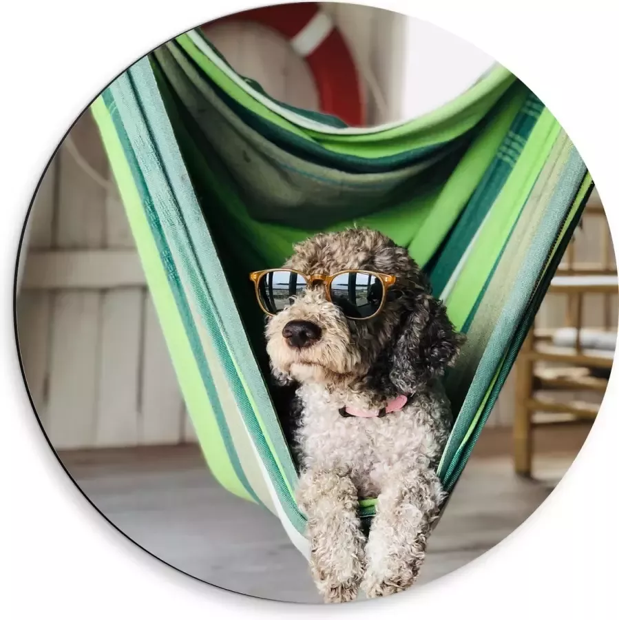 WallClassics Dibond Muurcirkel Liggende Hond in Hangmat met Zonnebril 50x50 cm Foto op Aluminium Muurcirkel (met ophangsysteem)