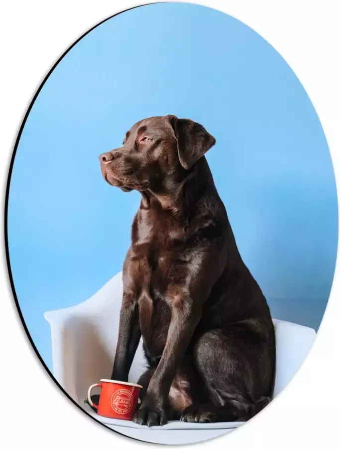WallClassics Dibond Ovaal Grote Hond Zittend op Stoel met Kop Koffie 30x40 cm Foto op Ovaal (Met Ophangsysteem)