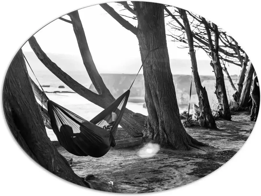 WallClassics Dibond Ovaal Hangmat tussen de Bomen Zwart Wit 108x81 cm Foto op Ovaal (Met Ophangsysteem)