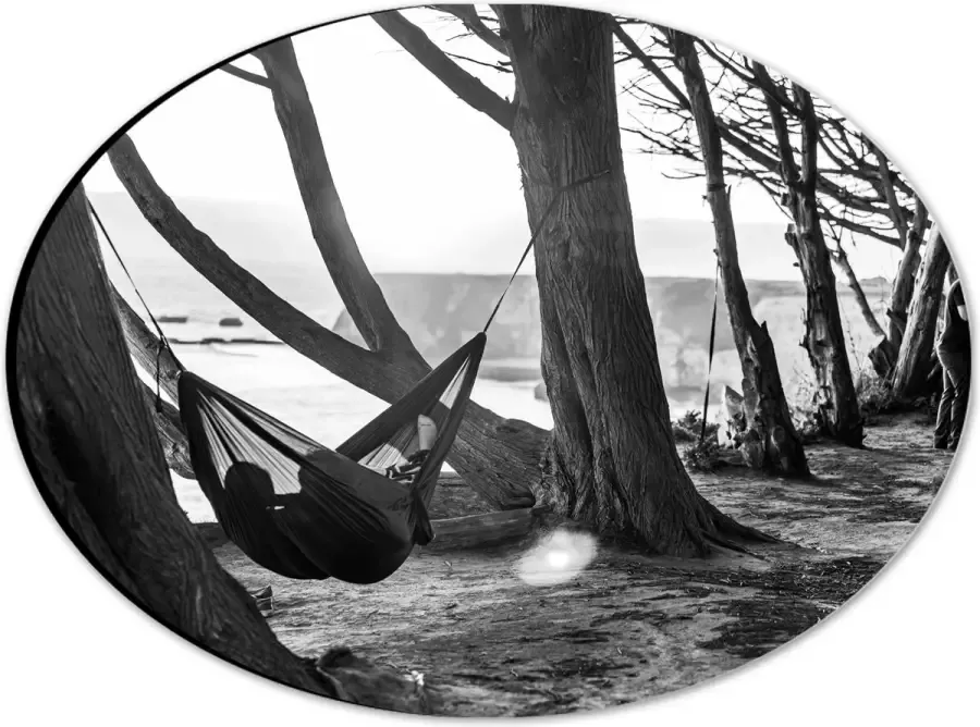 WallClassics Dibond Ovaal Hangmat tussen de Bomen Zwart Wit 28x21 cm Foto op Ovaal (Met Ophangsysteem)