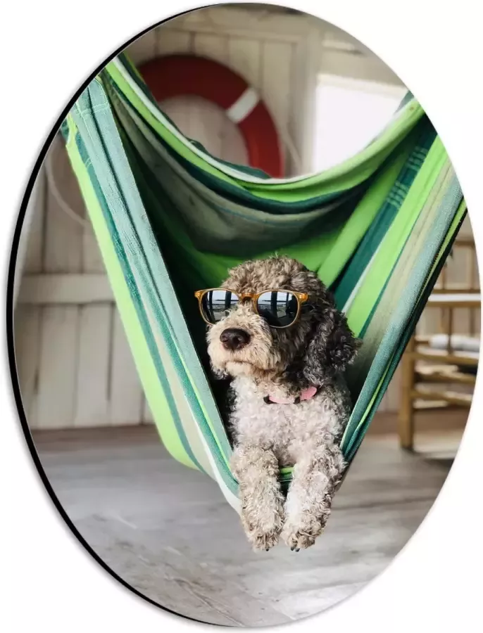 WallClassics Dibond Ovaal Liggende Hond in Hangmat met Zonnebril 21x28 cm Foto op Ovaal (Met Ophangsysteem)