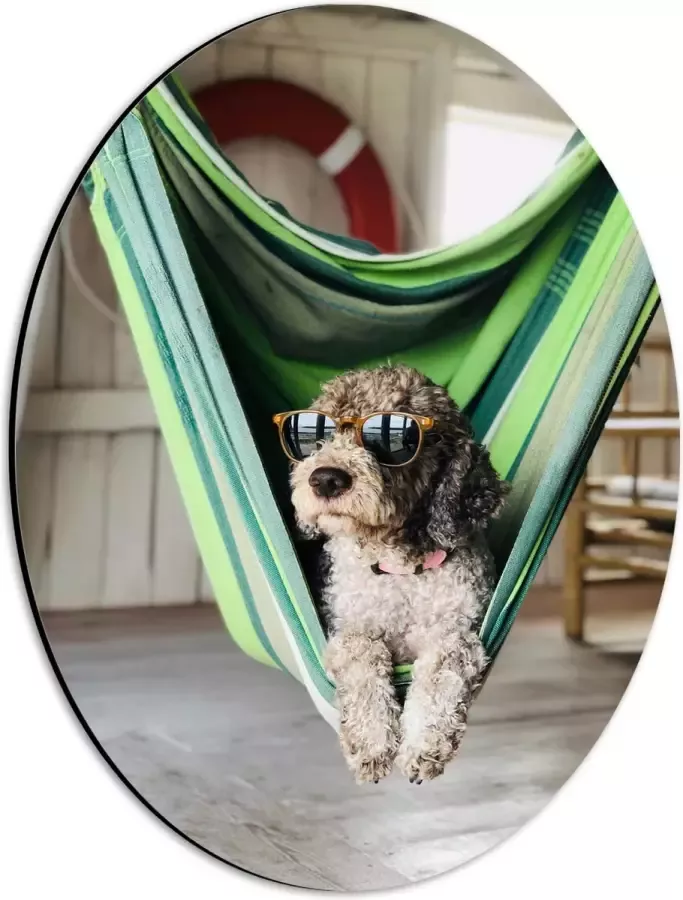 WallClassics Dibond Ovaal Liggende Hond in Hangmat met Zonnebril 30x40 cm Foto op Ovaal (Met Ophangsysteem)