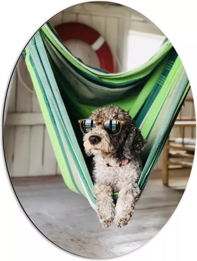 WallClassics Dibond Ovaal Liggende Hond in Hangmat met Zonnebril 51x68 cm Foto op Ovaal (Met Ophangsysteem)
