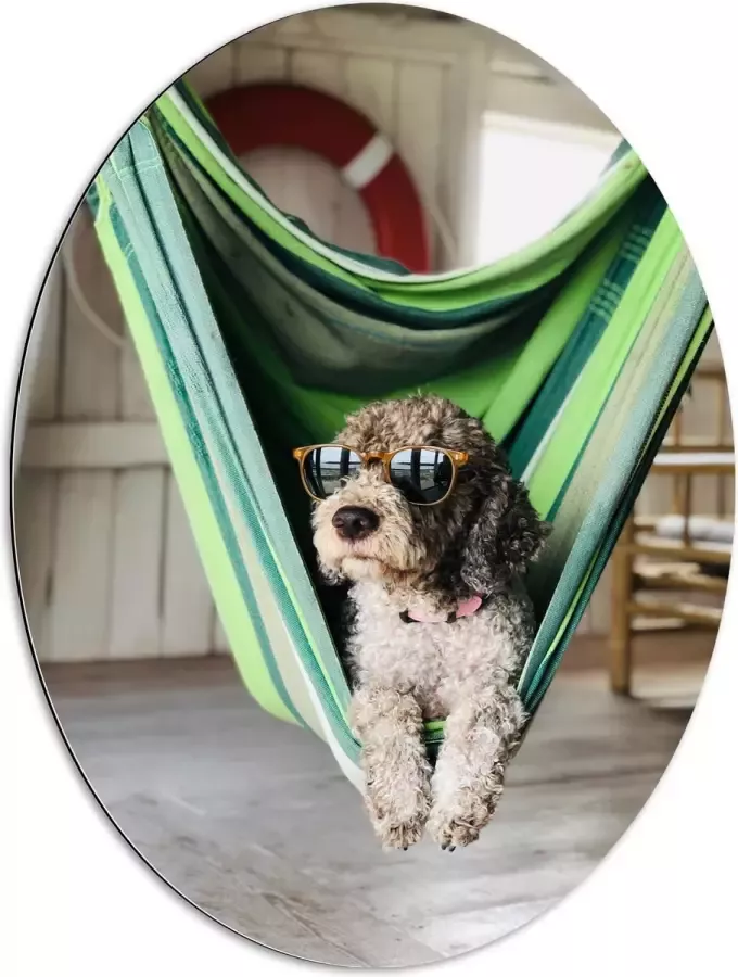 WallClassics Dibond Ovaal Liggende Hond in Hangmat met Zonnebril 60x80 cm Foto op Ovaal (Met Ophangsysteem)