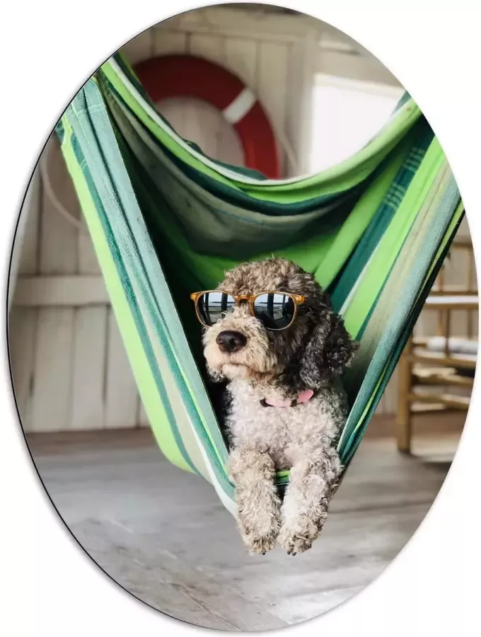 WallClassics Dibond Ovaal Liggende Hond in Hangmat met Zonnebril 72x96 cm Foto op Ovaal (Met Ophangsysteem)