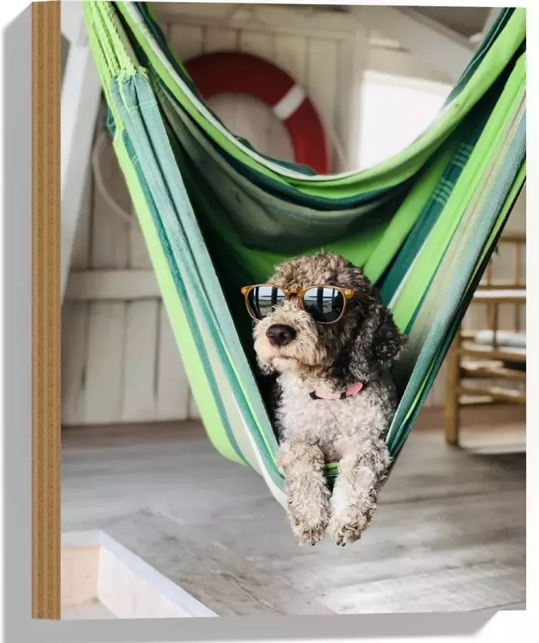 WallClassics Hout Liggende Hond in Hangmat met Zonnebril 30x40 cm 9 mm dik Foto op Hout (Met Ophangsysteem)