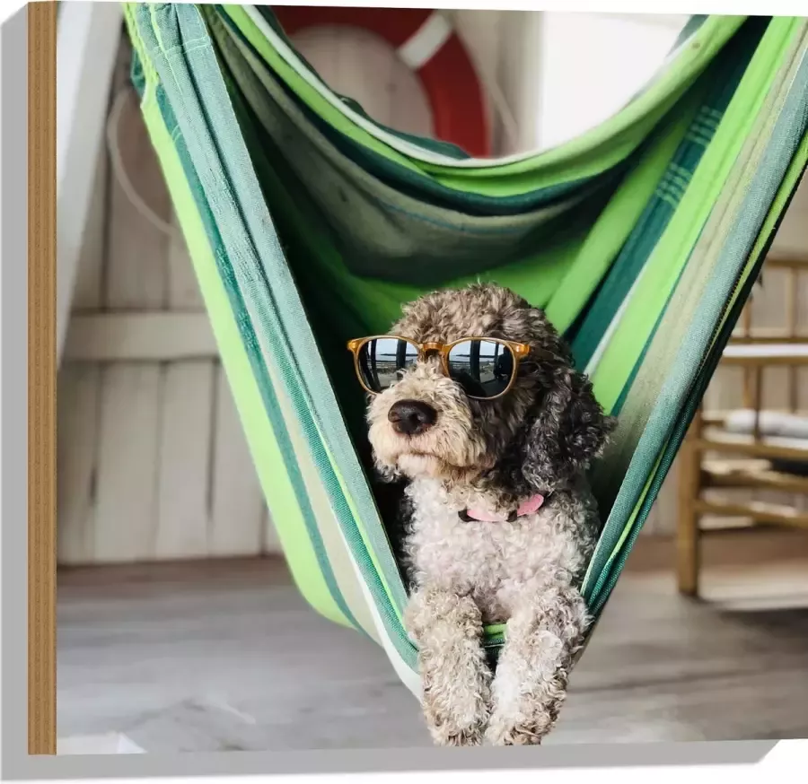 WallClassics Hout Liggende Hond in Hangmat met Zonnebril 50x50 cm 9 mm dik Foto op Hout (Met Ophangsysteem)