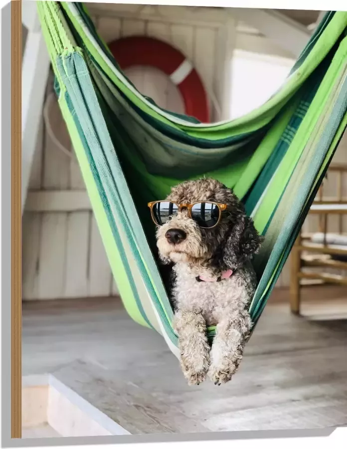 WallClassics Hout Liggende Hond in Hangmat met Zonnebril 60x80 cm 9 mm dik Foto op Hout (Met Ophangsysteem)