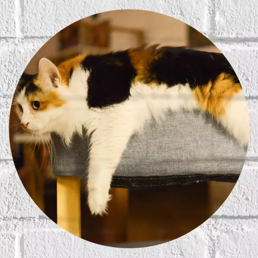 WallClassics Muursticker Cirkel Bruin Zwart Gevlekte Kat uitgestrekt over Poef 30x30 cm Foto op Muursticker
