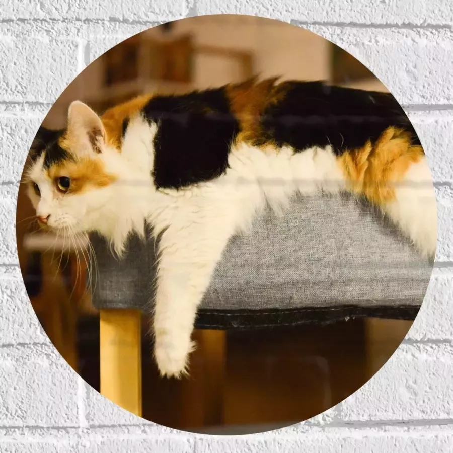 WallClassics Muursticker Cirkel Bruin Zwart Gevlekte Kat uitgestrekt over Poef 40x40 cm Foto op Muursticker