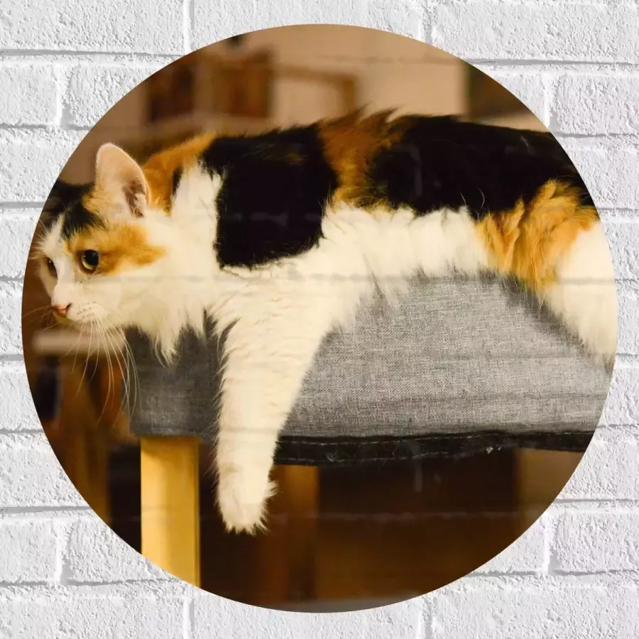 WallClassics Muursticker Cirkel Bruin Zwart Gevlekte Kat uitgestrekt over Poef 60x60 cm Foto op Muursticker