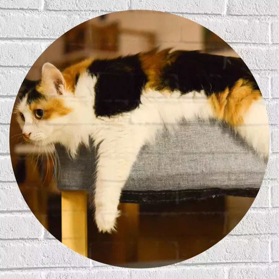 WallClassics Muursticker Cirkel Bruin Zwart Gevlekte Kat uitgestrekt over Poef 70x70 cm Foto op Muursticker