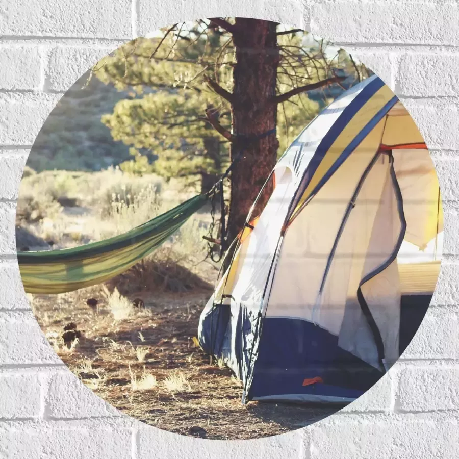 WallClassics Muursticker Cirkel Hangmat bij Tent in Bos 60x60 cm Foto op Muursticker