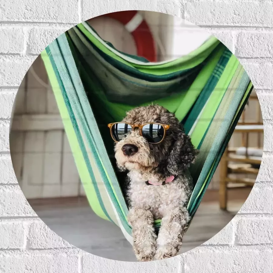 WallClassics Muursticker Cirkel Liggende Hond in Hangmat met Zonnebril 60x60 cm Foto op Muursticker