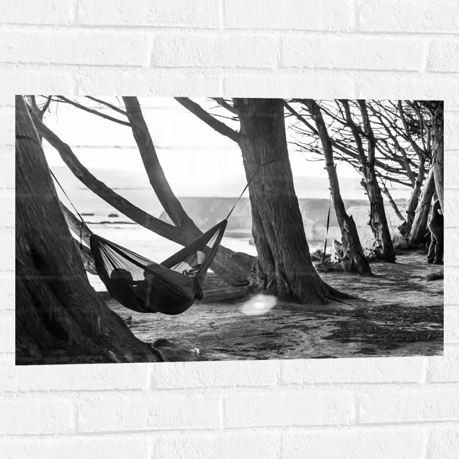 WallClassics Muursticker Hangmat tussen de Bomen Zwart Wit 75x50 cm Foto op Muursticker