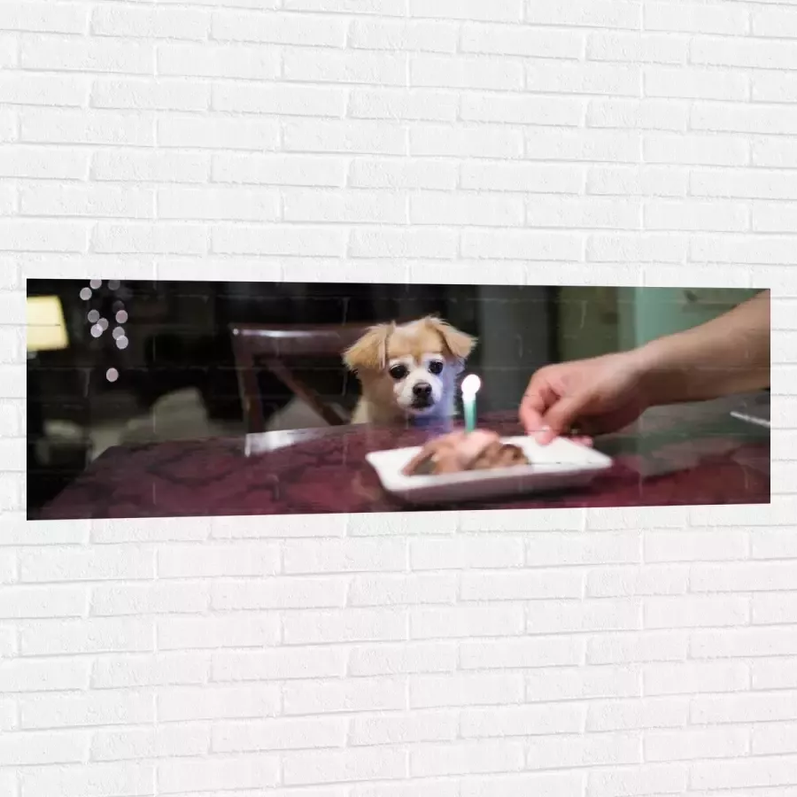 WallClassics Muursticker Jarig Klein Hondje zittend op Stoel aan Eettafel 150x50 cm Foto op Muursticker