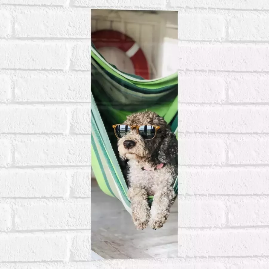WallClassics Muursticker Liggende Hond in Hangmat met Zonnebril 20x60 cm Foto op Muursticker