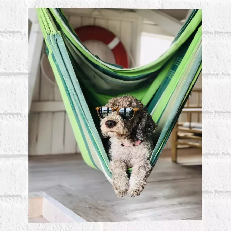 WallClassics Muursticker Liggende Hond in Hangmat met Zonnebril 30x40 cm Foto op Muursticker