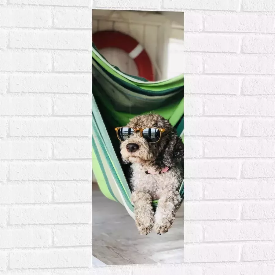 WallClassics Muursticker Liggende Hond in Hangmat met Zonnebril 30x90 cm Foto op Muursticker