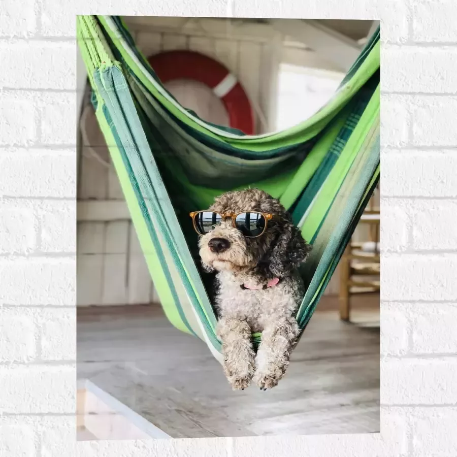 WallClassics Muursticker Liggende Hond in Hangmat met Zonnebril 40x60 cm Foto op Muursticker