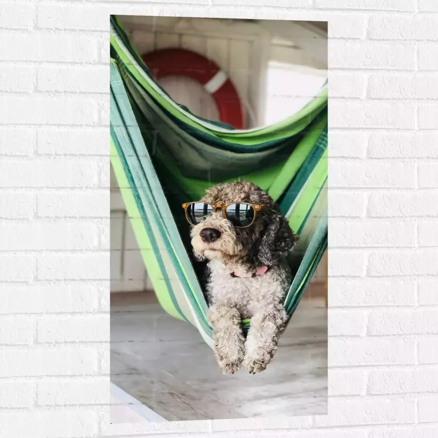 WallClassics Muursticker Liggende Hond in Hangmat met Zonnebril 50x100 cm Foto op Muursticker
