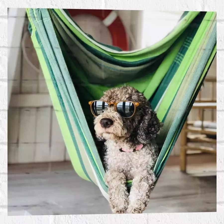 WallClassics Muursticker Liggende Hond in Hangmat met Zonnebril 50x50 cm Foto op Muursticker