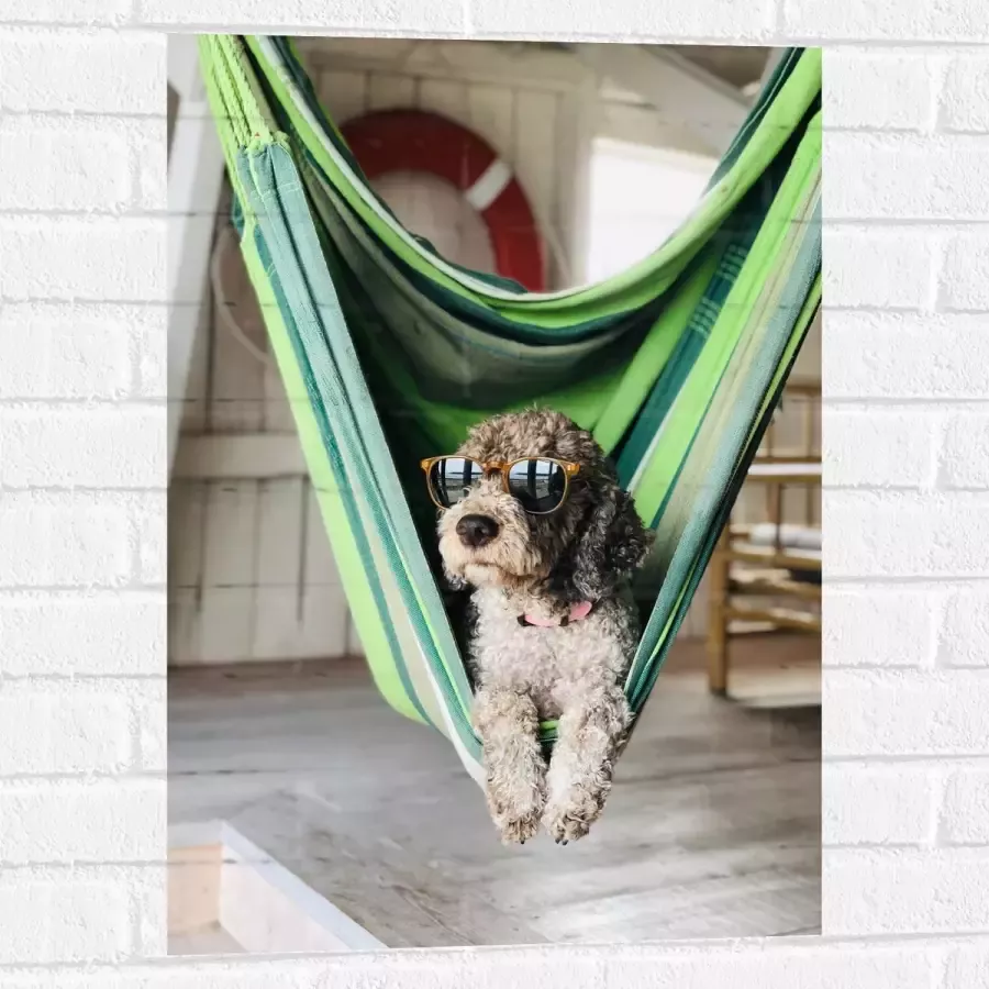 WallClassics Muursticker Liggende Hond in Hangmat met Zonnebril 50x75 cm Foto op Muursticker