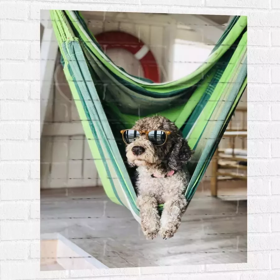 WallClassics Muursticker Liggende Hond in Hangmat met Zonnebril 75x100 cm Foto op Muursticker