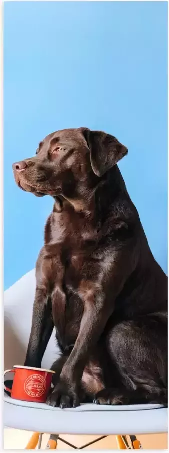 WallClassics Poster Glanzend – Grote Hond Zittend op Stoel met Kop Koffie 30x90 cm Foto op Posterpapier met Glanzende Afwerking