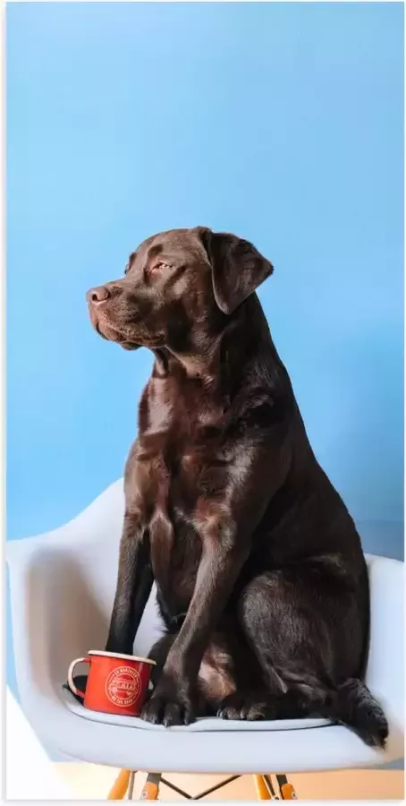WallClassics Poster Glanzend – Grote Hond Zittend op Stoel met Kop Koffie 50x100 cm Foto op Posterpapier met Glanzende Afwerking