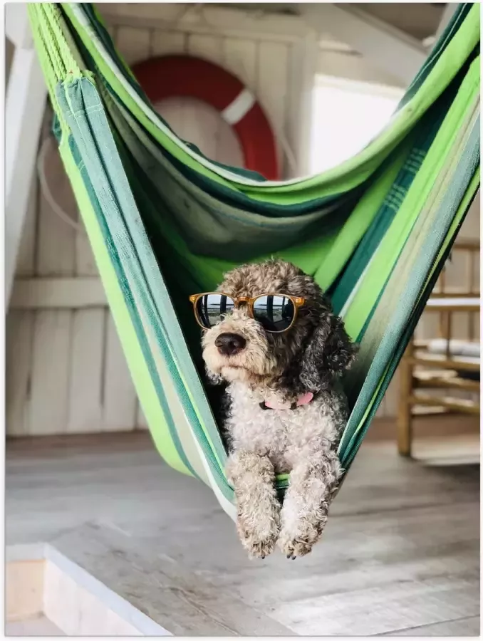 WallClassics Poster Glanzend – Liggende Hond in Hangmat met Zonnebril 30x40 cm Foto op Posterpapier met Glanzende Afwerking
