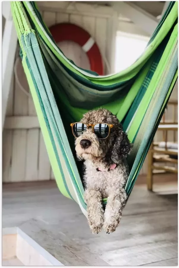 WallClassics Poster Glanzend – Liggende Hond in Hangmat met Zonnebril 50x75 cm Foto op Posterpapier met Glanzende Afwerking