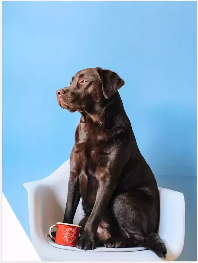 WallClassics Poster (Mat) Grote Hond Zittend op Stoel met Kop Koffie 60x80 cm Foto op Posterpapier met een Matte look