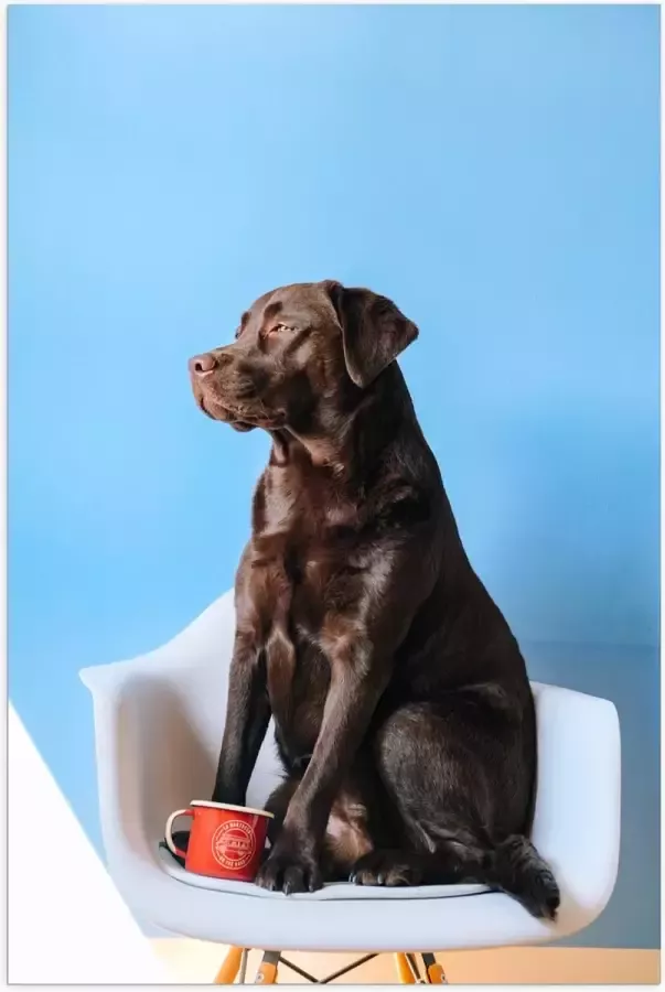 WallClassics Poster (Mat) Grote Hond Zittend op Stoel met Kop Koffie 60x90 cm Foto op Posterpapier met een Matte look