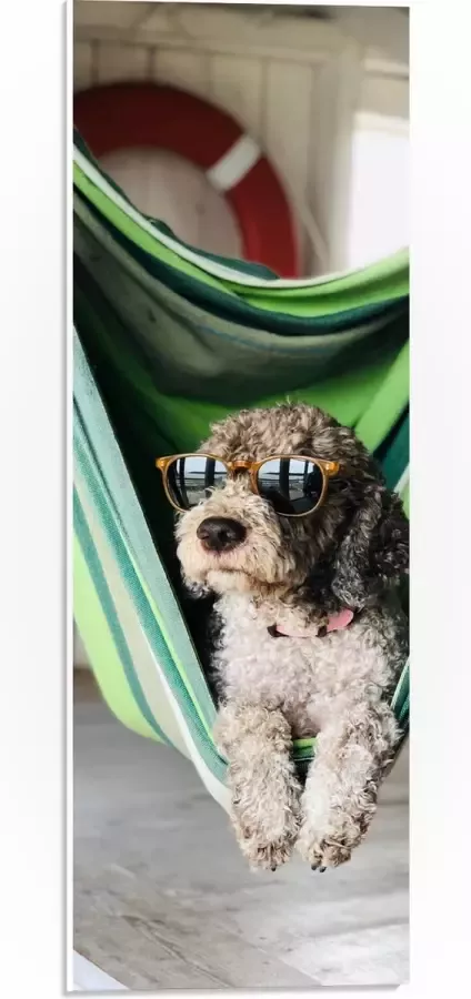 WallClassics PVC Schuimplaat Liggende Hond in Hangmat met Zonnebril 20x60 cm Foto op PVC Schuimplaat (Met Ophangsysteem)