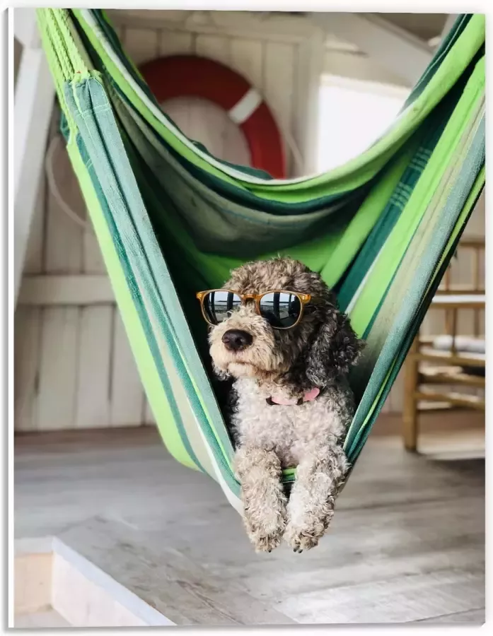 WallClassics PVC Schuimplaat Liggende Hond in Hangmat met Zonnebril 30x40 cm Foto op PVC Schuimplaat (Met Ophangsysteem)